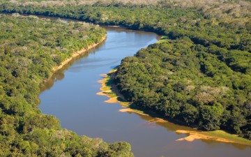 [pt]Rio Negro, Pantanal, Mato Grosso do Sul / Foto: Embratur[/pt] [en]Negro River, Pantanal, Mato Grosso do Sul / Photo: Embratur[/en] [es]Río Negro, Pantanal, Mato Grosso do Sul / Foto: Embratur[/es]