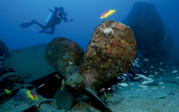 [pt]Mergulho em Recife, Pernambuco / Foto: Embratur[/pt] [en]Diving in Recife, Pernambuco / Photo: Embratur[/en] [es]Mergulho em Recife, Pernambuco / Foto: Embratur[/es]